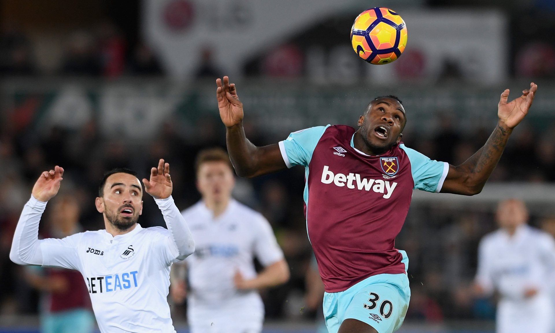 分別的真正 分別的真正